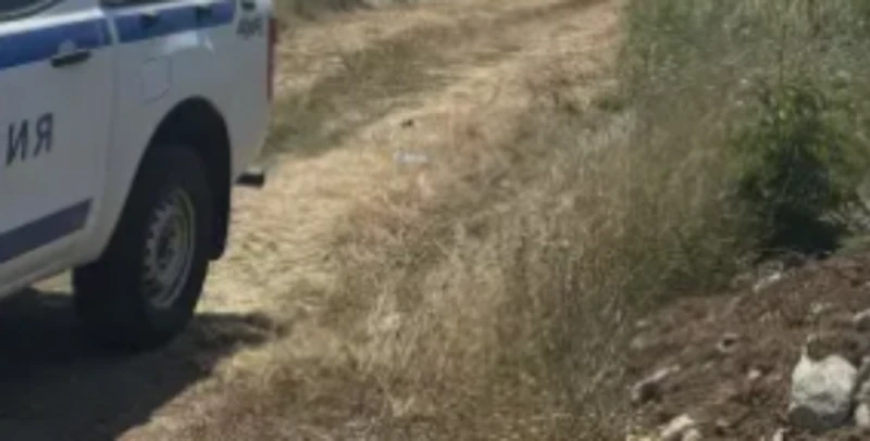 ���������� ���� �����: ������� ������ ������� ����������