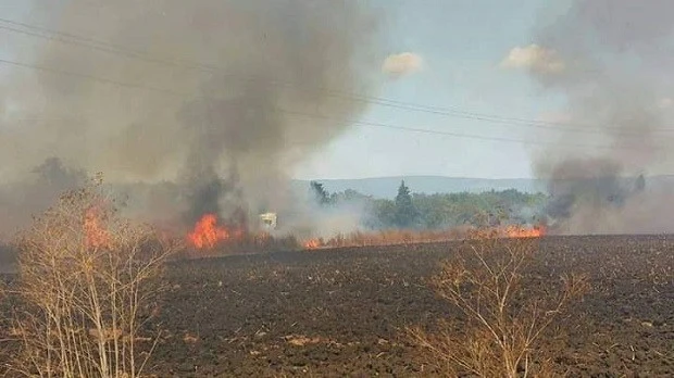 Пожар пламна в ниви край Петрич