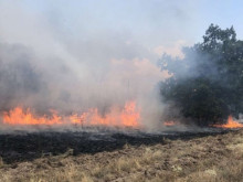 Голям пожар се разгоря в покрайнините на Пазарджишкото село Ветрен