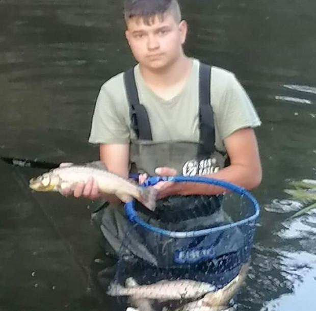 Екокатастрофа в Родопите, деца събират отровената мъртва риба от реката,