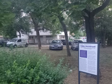 Глас от Кючука: Нека ги видят, пък дано се засрамят
