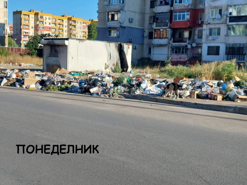 Изринаха 19 тона отпадъци, на другия ден пак същото