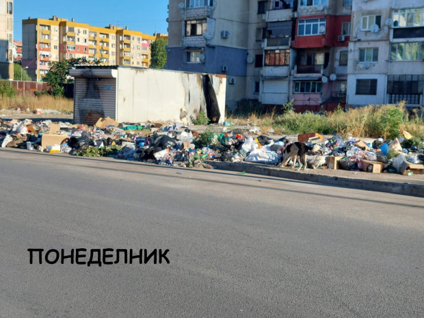 Изринаха 19 тона отпадъци в "Столипиново" в Пловдив, на другия ден пак същото