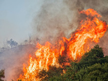 Пожари са изпепелили близо една четвърт от района на Атика