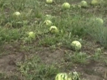 Хора вдигат ръце: Всичко е унищожено