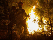 Гръцките власти задържаха мъж за умишлен палеж на гора край Триполис 