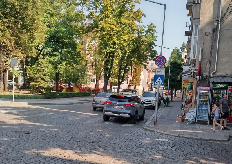Поредният "великан" в Пловдив много ядоса гражданин