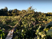 Буря нанесе значителни щети в Исперих и околни села
