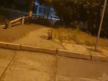 ������ �� ������� � �������� �������