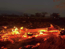 Огнената стихия на Хавай отне живота на десетки, очаква се броят на жертвите да се увеличи