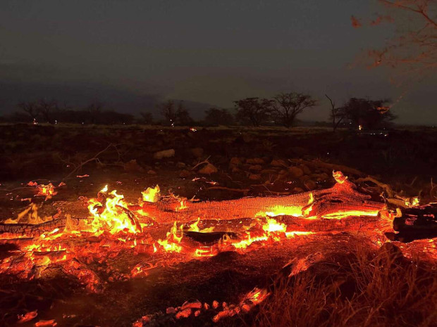 Най малко 36 души са загинали при безпрецедентните горски пожари които