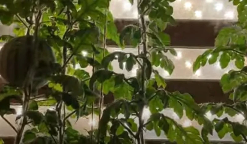 � ���� ���������! ������� �� ����������
