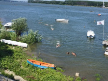 Традиционно в Силистра: Двадесет и двама преплуваха Дунав