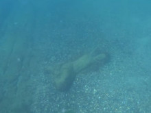 Нещо уникално откриха наши водолази край Приморско