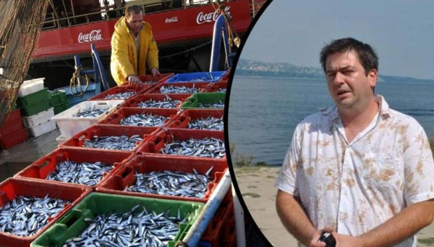 Учени алармират за аномалии при рибите в Черно море Причината