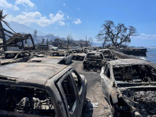 Близо 100 души са загинали в горските пожари в Хавай