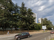ДБ Варна алармира: Общинската администрация иска да унищожи над 300 дървета в район"Младост"