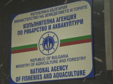 Николай Георгиев е новият директор на Изпълнителната агенция по рибарство и аквакултури