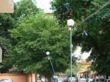 Откраднаха кабели от ел. мрежата в Царимир
