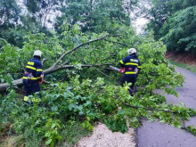След ураганния вятър: Частично бедствено положение в Дългопол