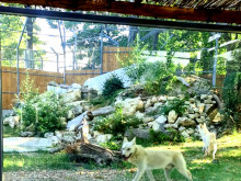 Новите местообитания в Зоопарка във Варна са готови