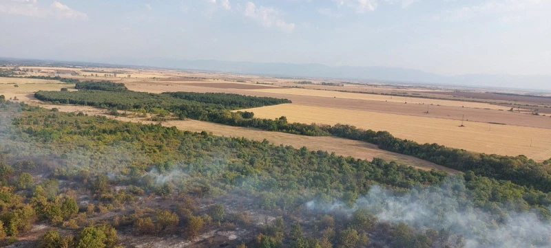 Пловдивските пожарникари потушиха горски пожар край Бабек