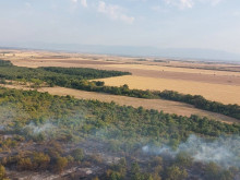 Пловдивските пожарникари потушиха горски пожар край Бабек