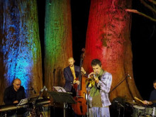 Мистичен концерт при вековните секвои край Кюстендил
