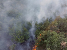 След 13 часа битка: Пожарът край село Любен е овладян