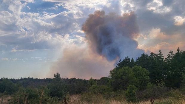 Пожар е възникнал и край село Коларово по посока село