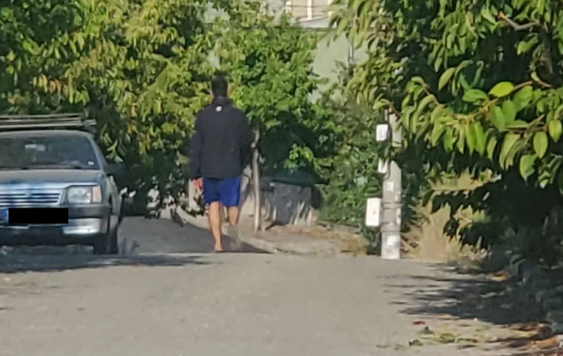 Странник плаши хората в близко до Пловдив село, видян е и в големия град