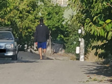 Странник плаши хората в близко до Пловдив село, видян е и в големия град