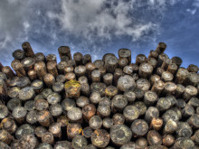 Не се очакват проблеми с доставките и количествата на дърва в Старозагорско