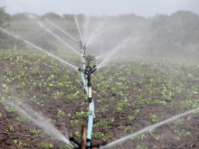 Земеделските стопани вече могат да кандидатстват по помощта за напояване