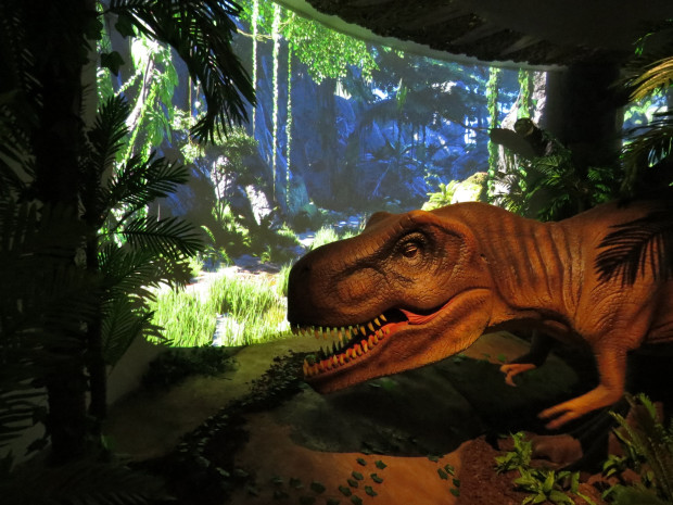 TD Aко искате да прекарате едно незабравимо приключение то Регионалният природонаучен музей