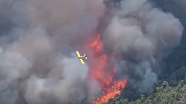 Общо 69 нови горски пожара са избухнали през последните двадесет
