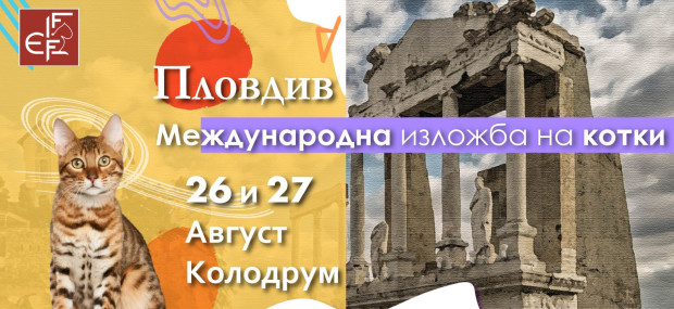 </TD
>Този уикенд котешкият свят на Федерация по Фелинология България се
