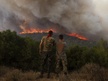 Възстановяването на растителността в Гърция от пожарите ще отнеме десетилетия