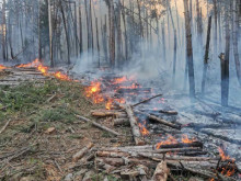 Няколко пожара бушуват в Бургаско