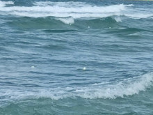 Още двама се удавиха на Южното Черноморие