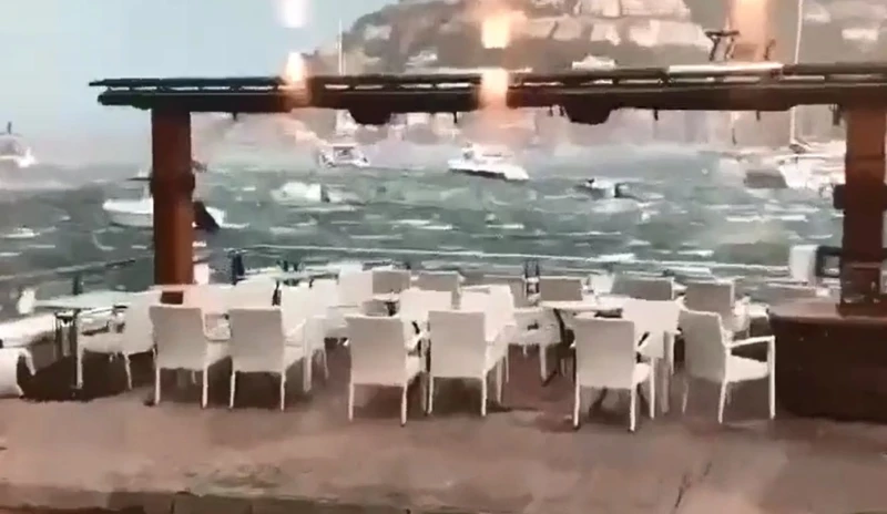 �������� ������ ����� ����� �� ������� ����� ������, ���� ����� ���������