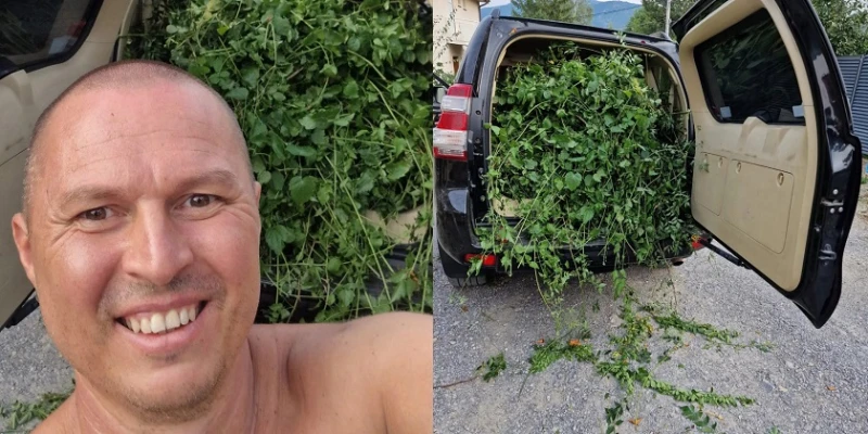 Гъмзата напълни цял джип с плевели