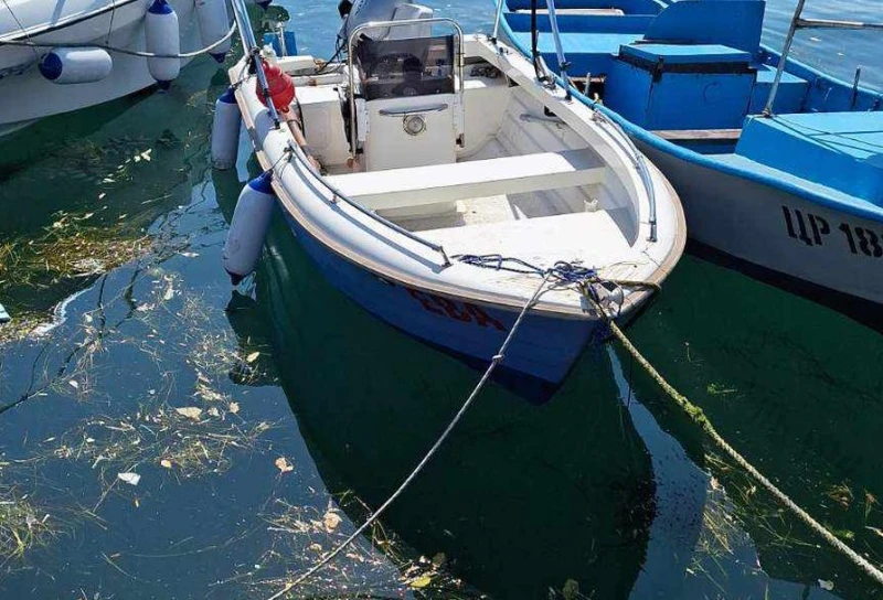 Кунчев за морската вода: Цялата работа ми прилича на една много евтина сензация и гонене на интерес