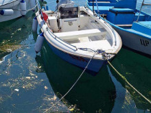 Кунчев за морската вода: Цялата работа ми прилича на една много евтина сензация и гонене на интерес