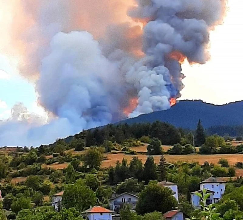 Незагасена цигара е причината за пожара край Хвойна, гасенето продължава