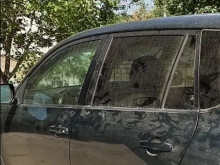 Намериха две умрели кучета в паркиран джип във Варна