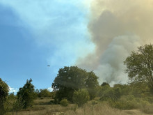 Обявиха частично бедствено положение в община Чепеларе заради пожара край Хвойна