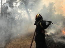 44 нови горски пожара са пламнали в Гърция през последните 24 часа