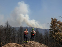 40 дка овощна градина изгоря при пожар