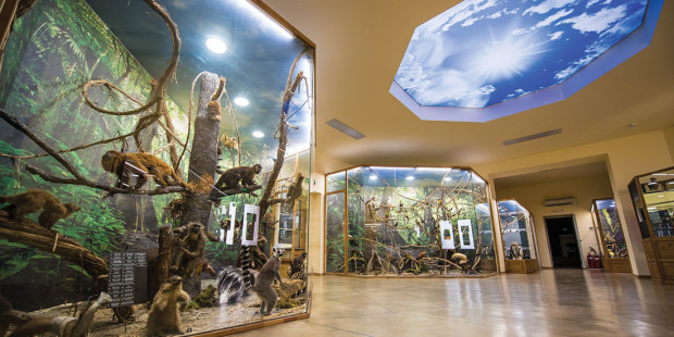 TD Регионалният природонаучен музей в Пловдив прави за първи път Нощ